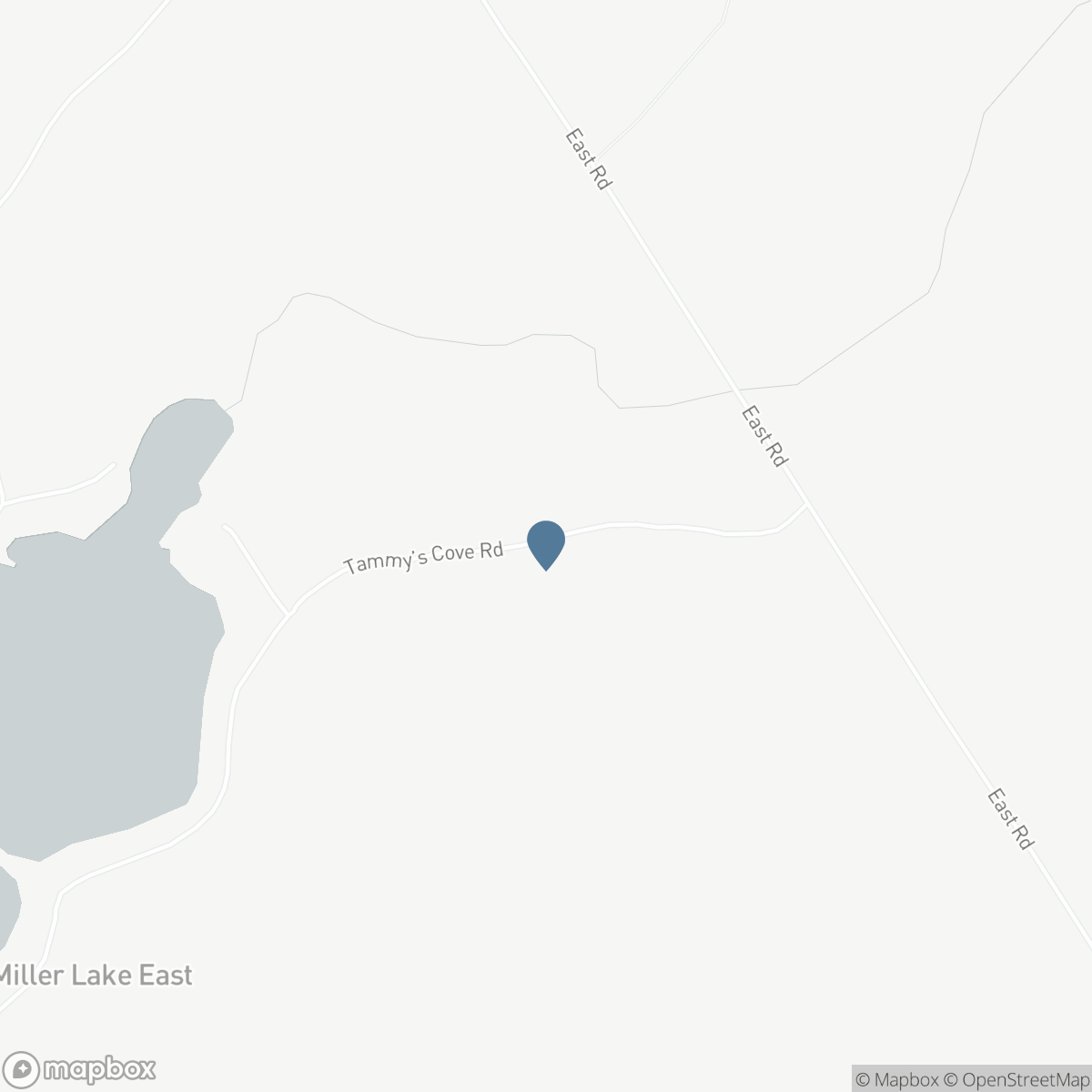 89 TAMMYS COVE ROAD, Miller Lake, Ontario N0H 1Z0